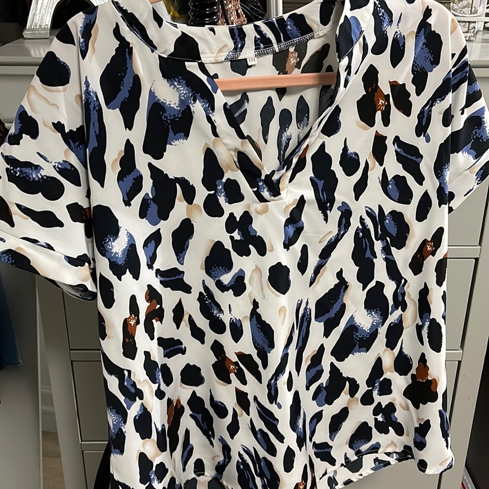 Blue and tan blouse